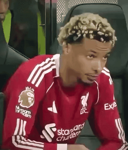 A Soccer Player Is Sitting In The Stands Wearing A Red Shirt With A Lion On It . GIF