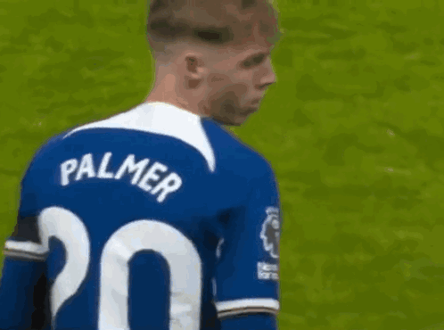 A Soccer Player Wearing A Blue And White Jersey With The Name Palmer On It Is Standing On A Field . GIF