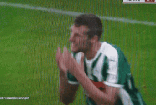 a soccer player wearing a green and white jersey with the word hoff on the chest