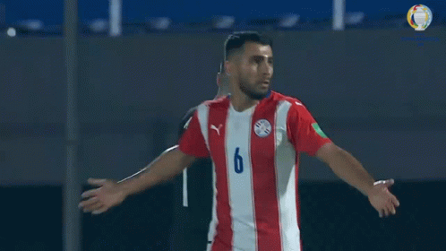a soccer player wearing a red and white jersey with the number 6
