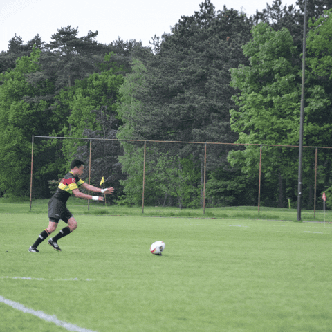A Soccer Player Wearing A Yellow And Red Jersey Kicks The Ball GIF