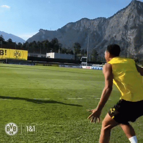 a soccer player wearing a yellow vest with the bvb logo on it