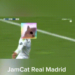 A Soccer Player With A Cat Mask On His Head And The Words Jamcat Real Madrid Below Him GIF
