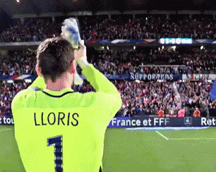 A Soccer Player With The Name Lloris On The Back Of His Shirt GIF