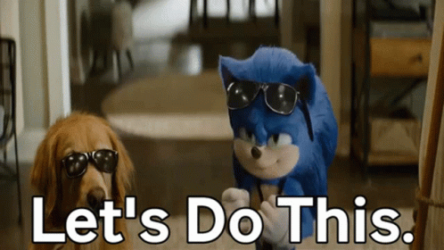 A Sonic The Hedgehog And A Dog Wearing Sunglasses With The Words Let 'S Do This GIF