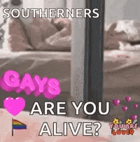 A Southerners Gays Are You Alive ? GIF