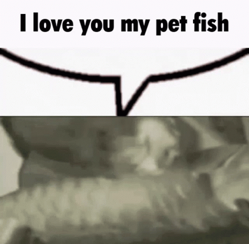 A Speech Bubble With The Words `` I Love You My Pet Fish '' Next To A Picture Of A Cat . GIF