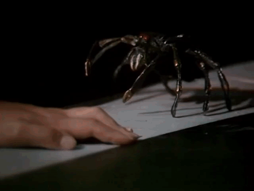 A Spider Is Crawling On A Person 'S Hand While A Person Is Typing On A Keyboard . GIF