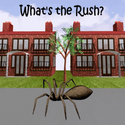 a spider is standing in front of a brick building with the words what 's the rush