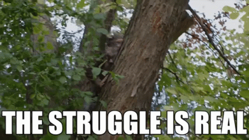 A Squirrel Is Climbing A Tree With The Words `` The Struggle Is Real '' Below It . GIF