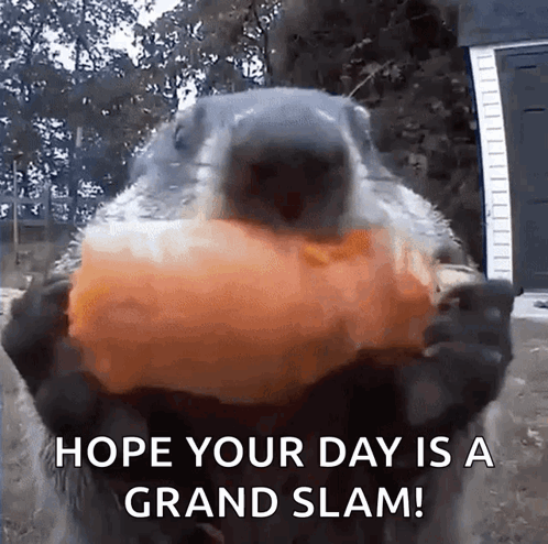 A Squirrel Is Holding A Large Piece Of Food In Its Mouth With The Words Hope Your Day Is A Grand Slam Written Below It GIF