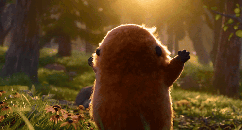 a squirrel is looking at the sun in a forest
