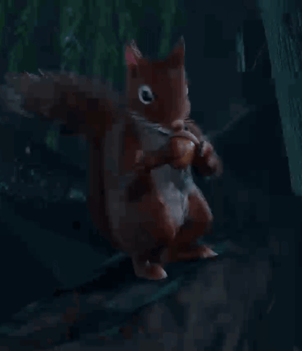Squirrel Standing On Hind Legs With Acorn GIF