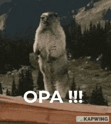 A Squirrel Is Standing On Its Hind Legs On A Wooden Fence . GIF