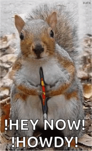 A Squirrel On A Leash With The Words `` Hey Now ! Howdy ! '' Written Below It . GIF