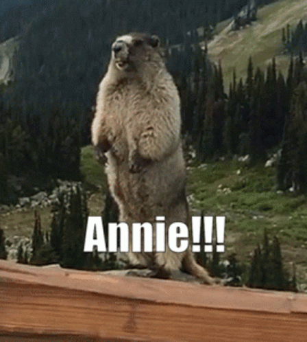 A Squirrel Standing On Its Hind Legs With Annie Written On The Bottom GIF