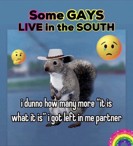 A Squirrel Wearing A Cowboy Hat With The Words Some Gays Live In The South GIF