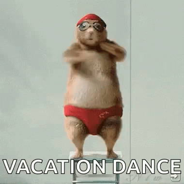 a squirrel wearing red swim trunks and goggles is dancing on a stool .