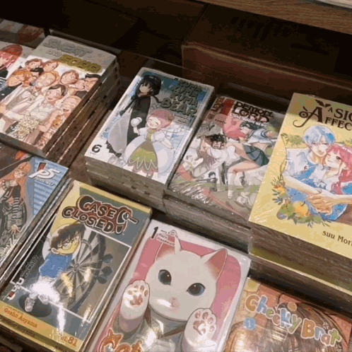 A Stack Of Books With One That Says Case C Closed On It GIF