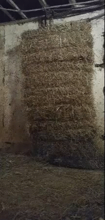 A Stack Of Hay With The Words Hey Kool-Aid On It GIF