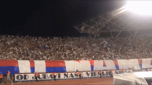 a stadium full of people with a banner that says od ljubavi nase virnji ne