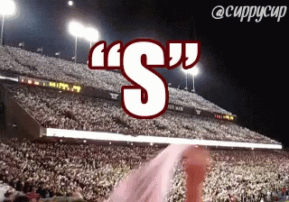 A Stadium Full Of People With The Word " S " Above Them GIF