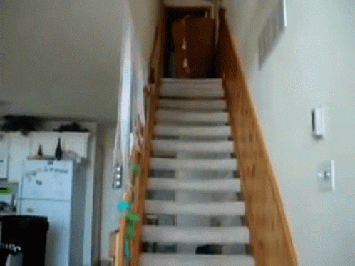 A Staircase With A White Carpet And A Wooden Railing In A House GIF
