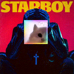 A Starboy Album Cover With A Person Covering Their Face GIF