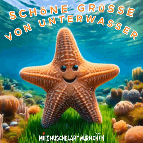 A Starfish With A Smile On Its Face Is Surrounded By Corals And Says Schöne Grusse Von Unterwasser GIF