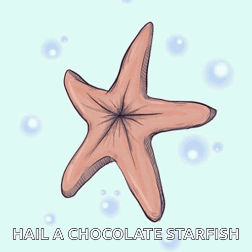 A Starfish With The Words Hail A Chocolate Starfish Below It GIF