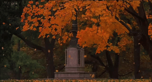 A Statue In A Park With Autumn Leaves Falling Around It GIF