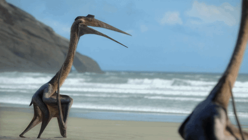 A Statue Of A Bird With A Long Neck Standing On A Beach GIF