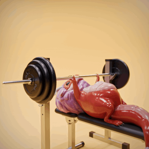 A Statue Of A Dragon Is Lifting A Barbell On A Bench That Says ' Wolf ' On It GIF