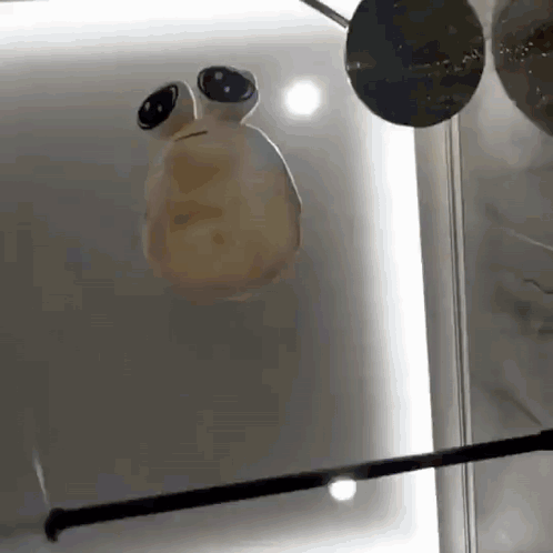 A Statue Of A Frog With Big Eyes Is Hanging On A Glass Wall . GIF