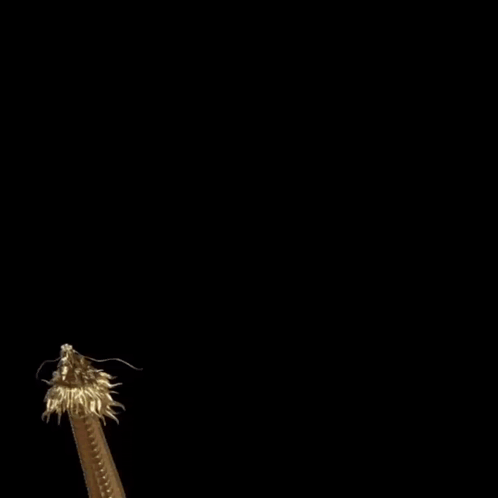A Statue Of A Gold Dragon With A Long Tail On A Black Background GIF