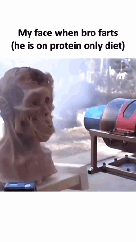 A Statue Of A Man 'S Face With A Caption That Says `` My Face When Bro Farts He Is On Protein Only Diet '' GIF
