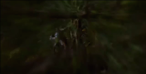 A Statue Of A Man With A Sword In His Hand Is Standing Next To A Tree GIF