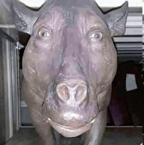 A Statue Of A Pig With A Crown On Its Head Is Looking At The Camera . GIF