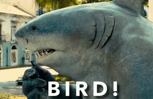 A Statue Of A Shark Is Holding A Cell Phone With The Words Bird Written Below It GIF