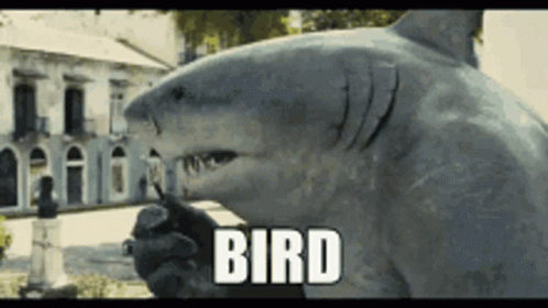 A Statue Of A Shark With The Word Bird Written On It GIF