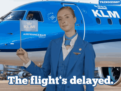 A Stewardess Is Holding A Flag In Front Of A Klm Plane GIF