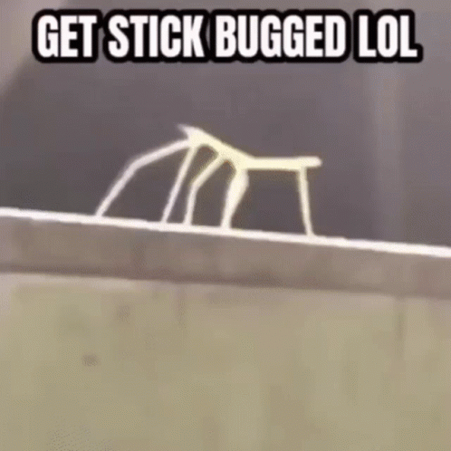 A Stick Bug Is Crawling On A Ledge With The Words `` Get Stick Bugged Lol '' Written Above It . GIF