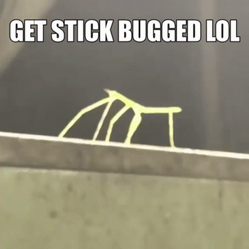 A Stick Bug Is Standing On A Ledge With The Words `` Get Stick Bugged Lol '' Written Above It . GIF