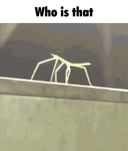A Stick Insect Is Walking Across A Ledge With The Words `` Who Is That '' Written Above It . GIF