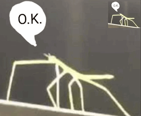 A Stick With A Speech Bubble Above It That Says Ok GIF