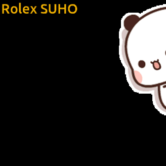 A Sticker Of A Panda Bear With The Name Rolex Suho Written Above It GIF