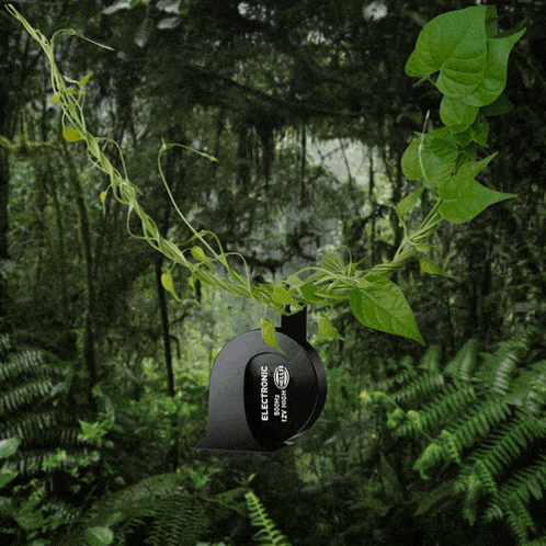 A Sticker With The Letter T On It Is In The Middle Of A Forest GIF