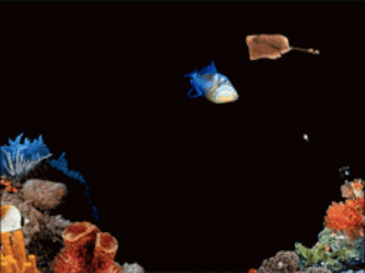 A Stingray Is Flying Over A Coral Reef With A Fish In The Background GIF