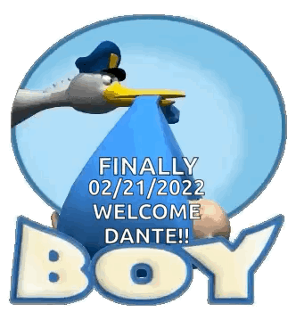 A Stork Is Holding A Baby In Its Beak And The Words `` Finally Welcome Dante ! '' GIF