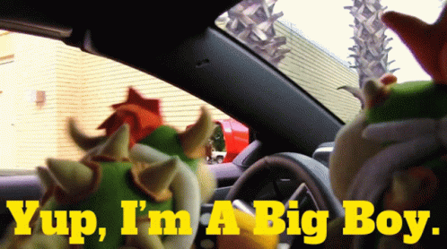 A Stuffed Animal In A Car With The Words Yup I 'M A Big Boy GIF